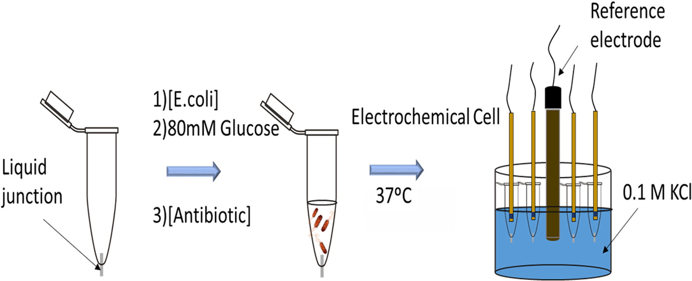 Parameters of the developed potentiometric system calibration with pH-sensor in a beaker with individual reference electrode and in the Eppendorf tubes within the system (n = 10).