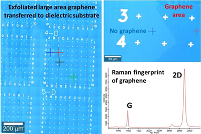 Figure 3. Large area EG-SiC layer delaminated and transferred to a dielectric substrate