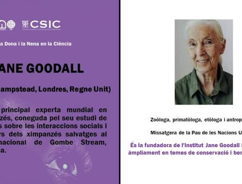 Jane Goodall