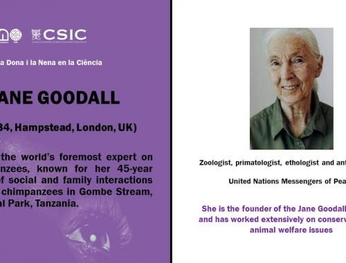 Jane Goodall en