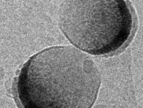 imagen de microscopía electrónica de transmisión de las nanocápsulas mostrando en negro la capa de hierro metálico y por encima el recubrimiento protector de sílica