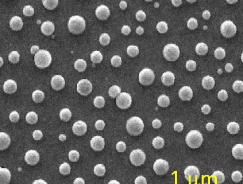 Imagen de microscopia electrónica de las nanocápsulas magnetoplasmónicas autoensambladas en una superficie de silicio