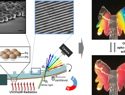 MNTL Optomechanical sensors butterfly
