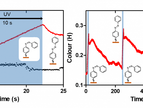 MNTL Optomechanical sensors