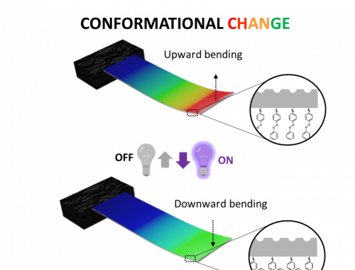 MNTL Optomechanical sensors