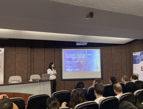 Angela Henao - Presentación en Young Researchers Day PhD