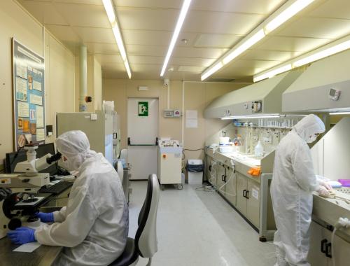 área de microsistemas