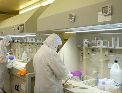 Bañeras área microsistemas