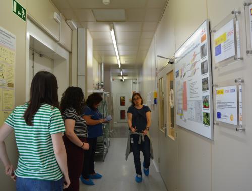 Elisabet Prats al passadís perimetral de la Sala Blanca davant de la finestra del passadís central interior amb públic mirant la seva explicació