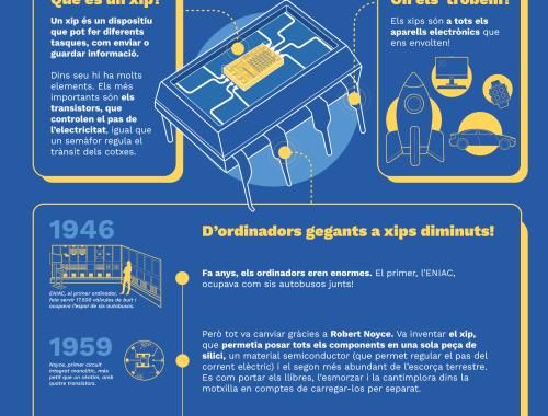 Infografía sobre el chip adaptada para primaria.