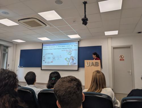 Zohre Hamzei presenting at the IMB-CNM Young Researchers Day 2025
