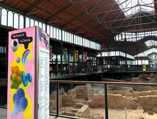 Torre expositiva de la Festa de la Ciència 2025 a l'interior del Centre de Cultura i Memòria del Born