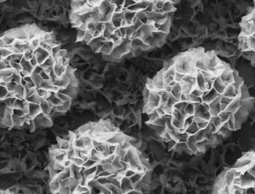 Imagen de microscopio de los dispositivos fabricados sobre la oblea. IMB-CNM