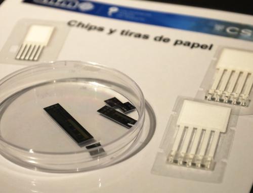 Muestras de tiras de papel para diagnóstico en taller de divulgación