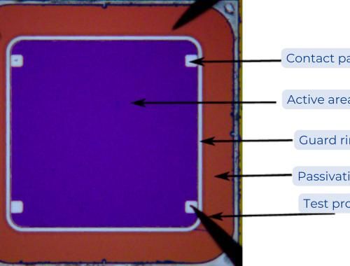 Imagen del detector con microscopio óptico y distinción de pads de contacto y área activa