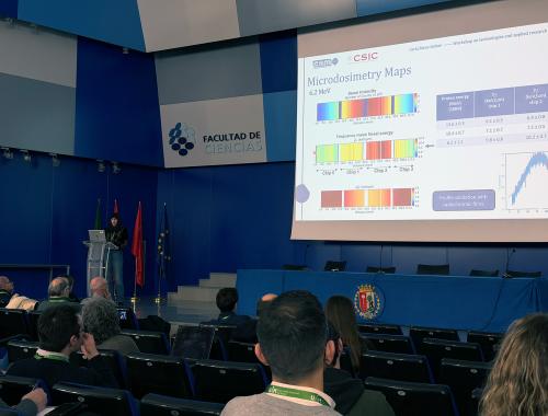 IMB-CNM presentation at the Proton Therapy Workshop in UAM: Carla Riera Llobet