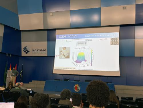 IMB-CNM presentation at the Proton Therapy Workshop in UAM: Iván López Paz
