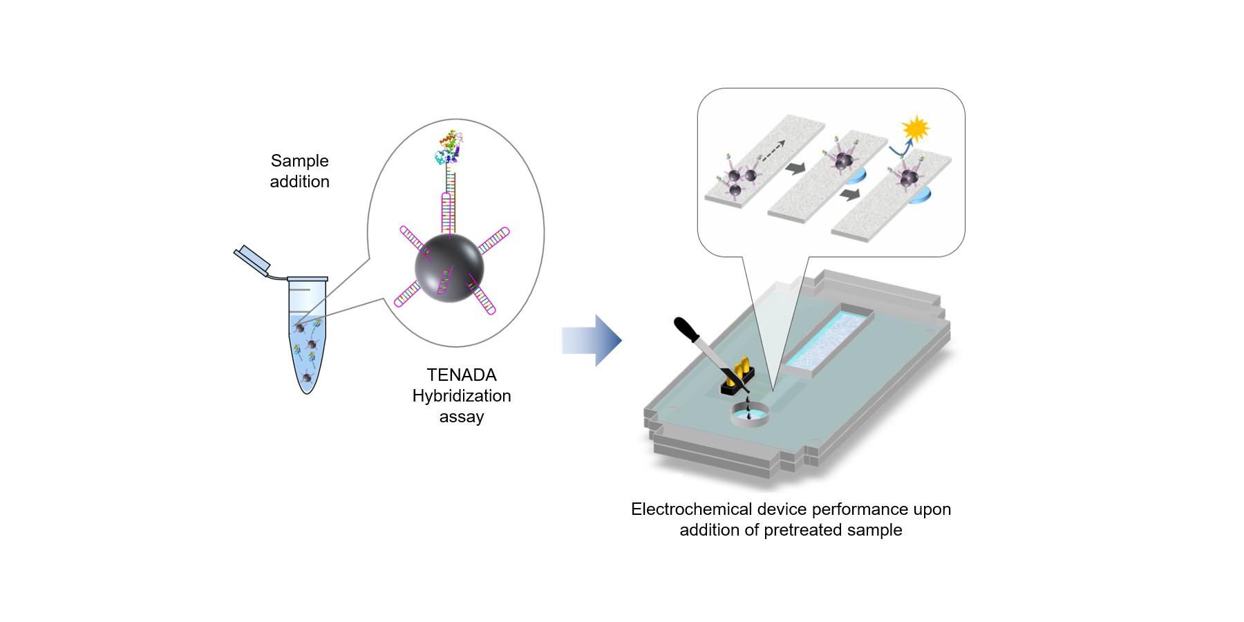 Tecnología desarrollada en el IMB-CNM para detección