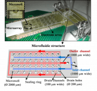 biosensors