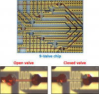 microvalves