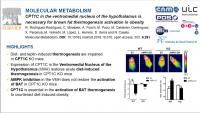 molecular_metabolism_web2