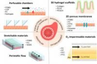 Gut-on-a-chip: Mimicking and monitoring the human intestine