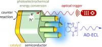 Description of the monolithic ECL device and light emission schemes. J. Am. Chem. Soc. 2023