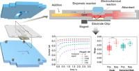 Analytical Chemistry - Unraveling the Amplification-Free Quantitative Detection of Viral RNA in Nasopharyngeal Swab Samples Using a Compact Electrochemical Rapid Test Device