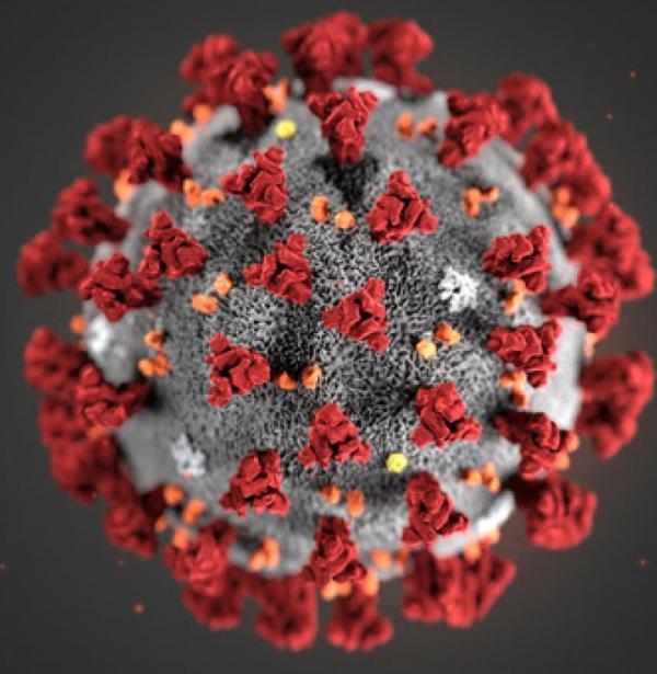 coronavirus