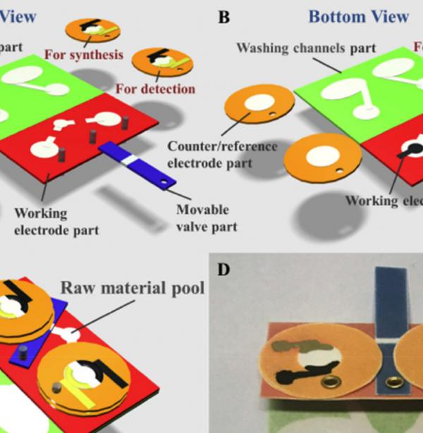 View of the different components integrated in the device.