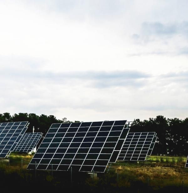 Solar panels that generate renewable energy