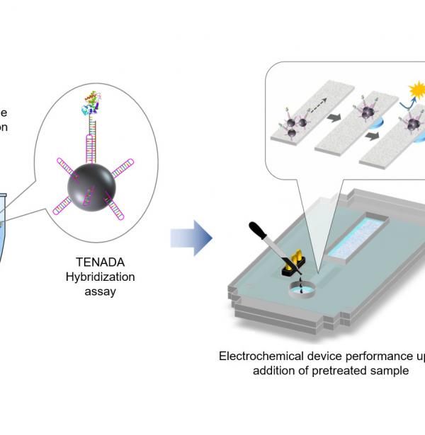 Tecnología desarrollada en el IMB-CNM para detección