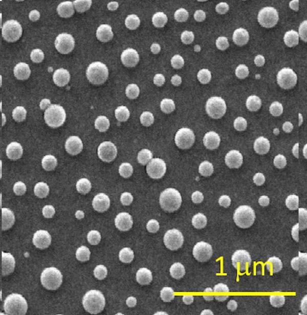 Imagen de microscopia electrónica de las nanocápsulas magnetoplasmónicas autoensambladas en una superficie de silicio