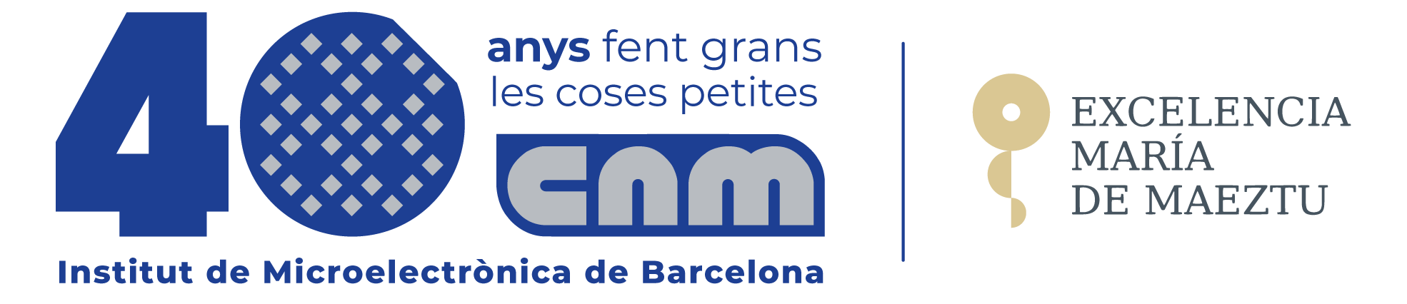 Logo CNM IBM